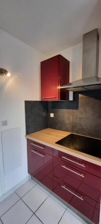 T3 Entierement Renove - 5 Couchages Apartman Lourdes Kültér fotó
